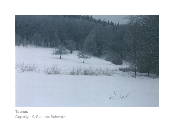Taunus